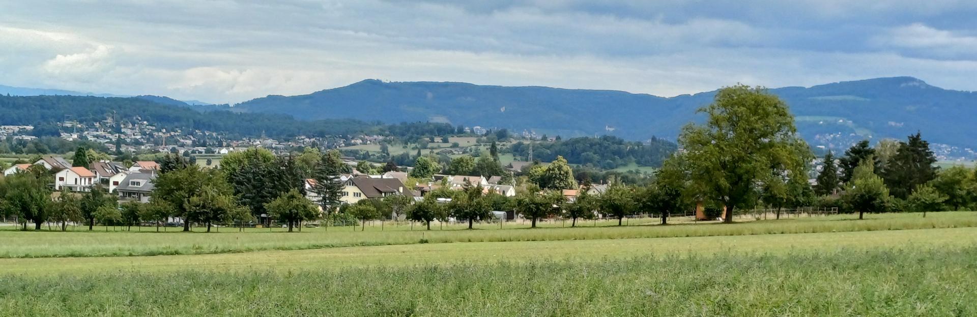 Witterswil